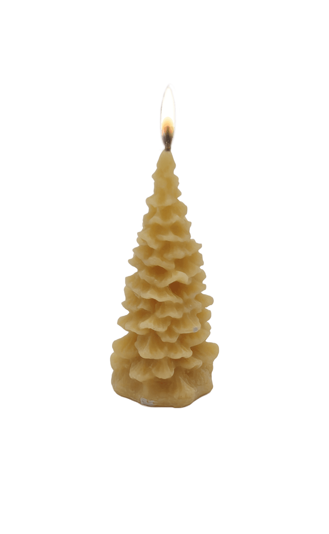 Bienenwachs-Baum 45 x 105 mm Bild 2