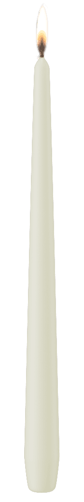 Spitzkerze 25x300 mm / 12 Stück / Elfenbein Bild 2